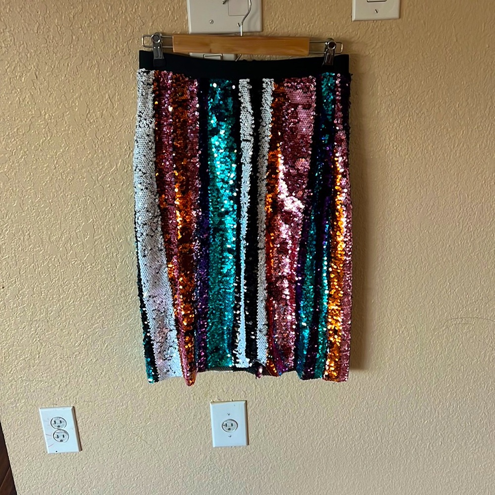 Multi Colored Sequin Skirt